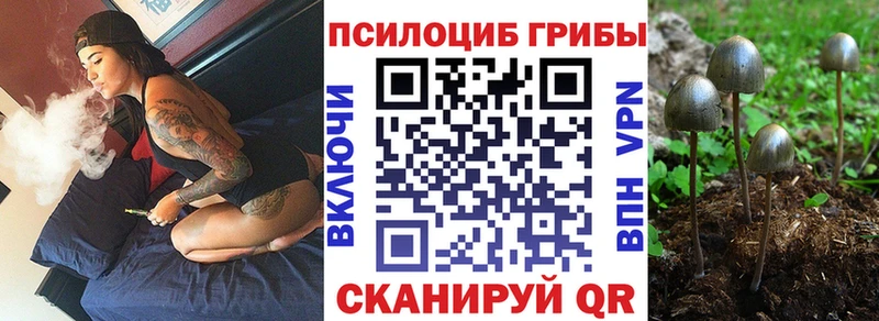 Галлюциногенные грибы GOLDEN TEACHER ссылка на мегу ссылка Абакан